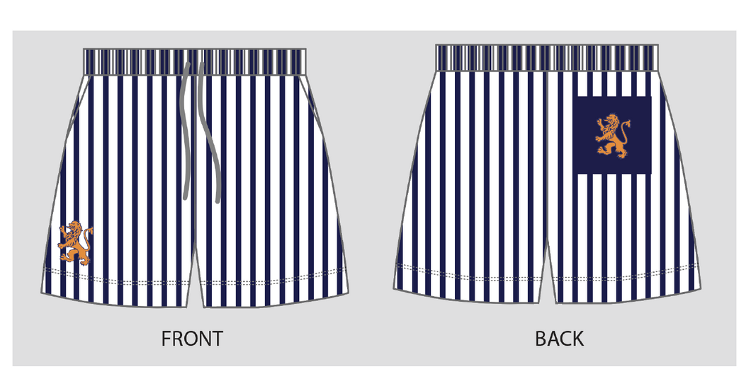 Shorts - Mens Striped Boardshorts